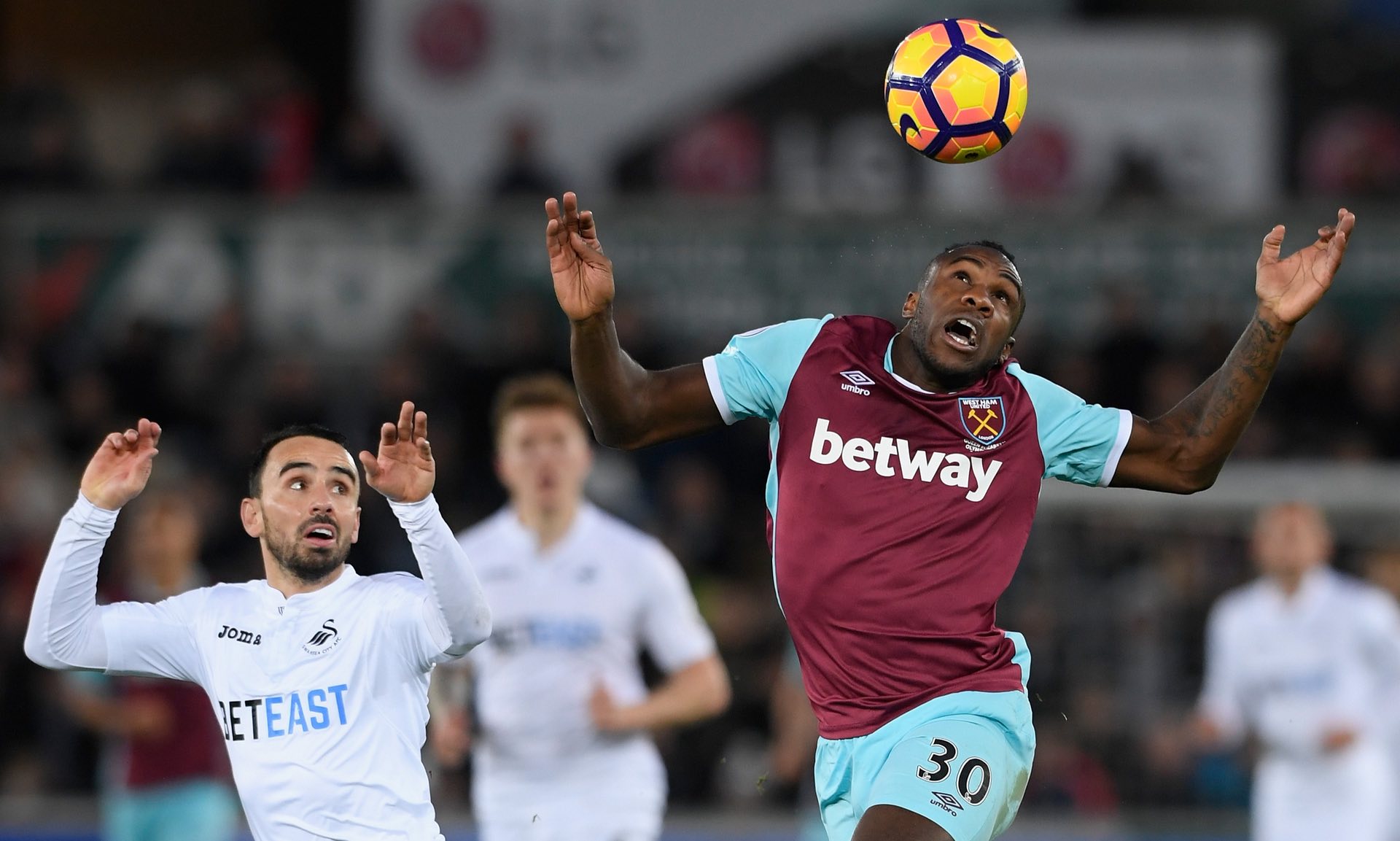 從這次的失 從這次的失